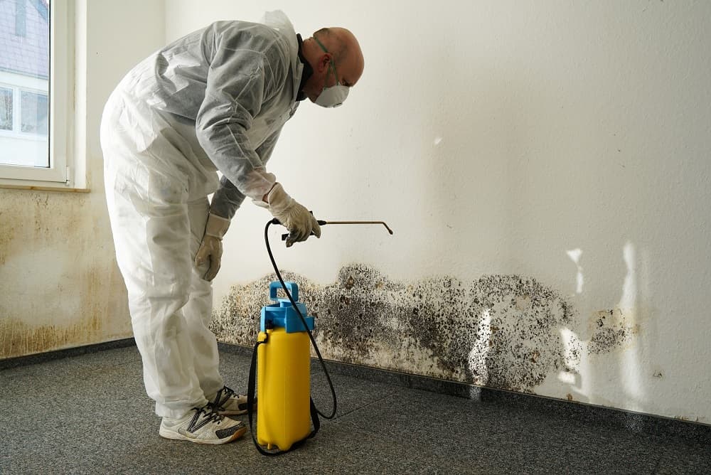 how to prevent mold in Orlando, remediation specialist in a white hazmat suit, mask, and gloves using a pressurized sprayer to treat extensive black mold growth on a white interior wall.