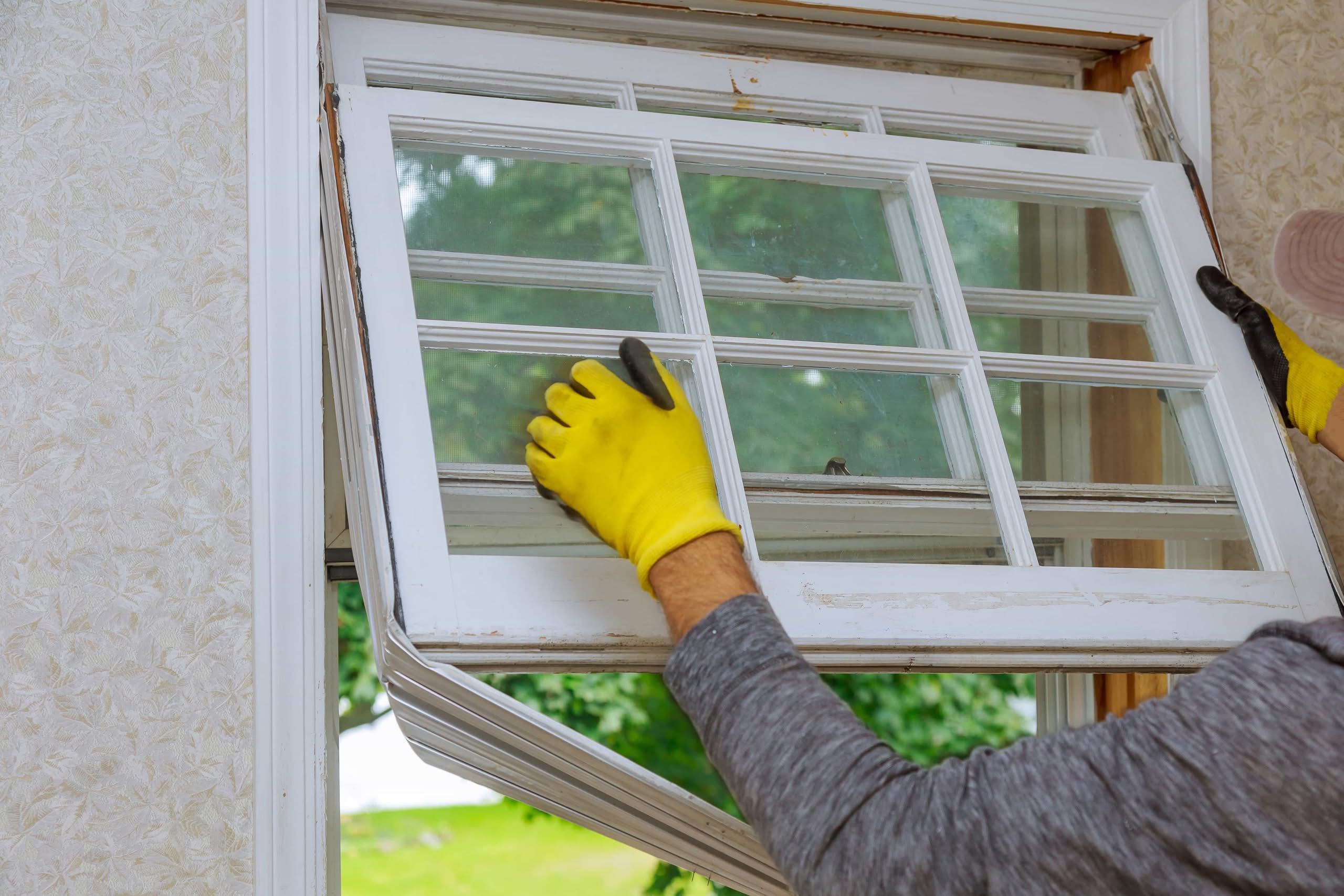 A contractor wearing yellow work gloves carefully removes an old wood-framed sash window from a home frame during a professional window replacement in gainesville fl.